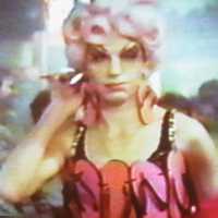 Priscilla, Queen of the Desert