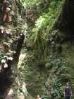 Les Gorges de la Falaise