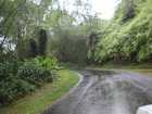 Une averse tropicale (5 km plus loin il n'a pas plu...)