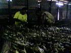 Le fumoir  poissons : on range les poissons sur des clayettes en bois...