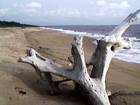 La plage de Yoyo : dserte.