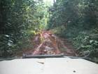 Arrive dans le Parc National de Lobk, but de notre voyage (aprs 3 jours de route).