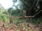 Un pige  singe : le singe utilise les branches pour traverser la zone dfriche et dclenche le colet situ au milieu et fix  un arbrisseau courb.
